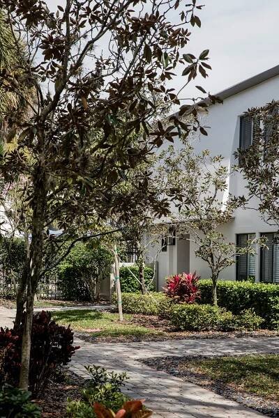 Modern white building partially obscured by trees and shrubs with a walkway winding through well-kept landscaping.