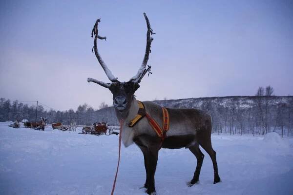 Lapland: A Land of Majestic Nature