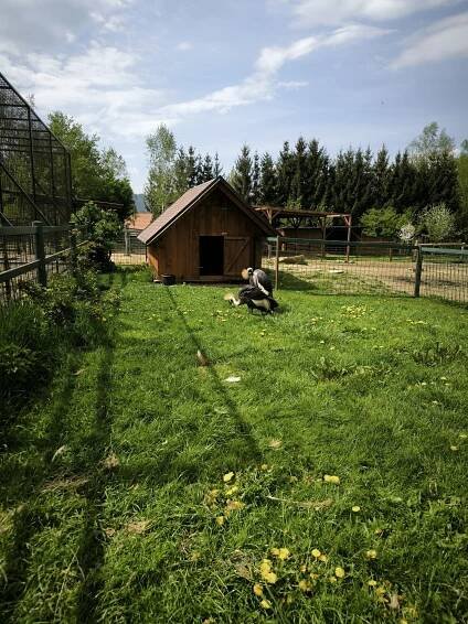 Fotografie - 09.05.2025