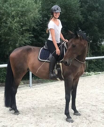 Equitation in balance - Kateřina Toušková - O mně