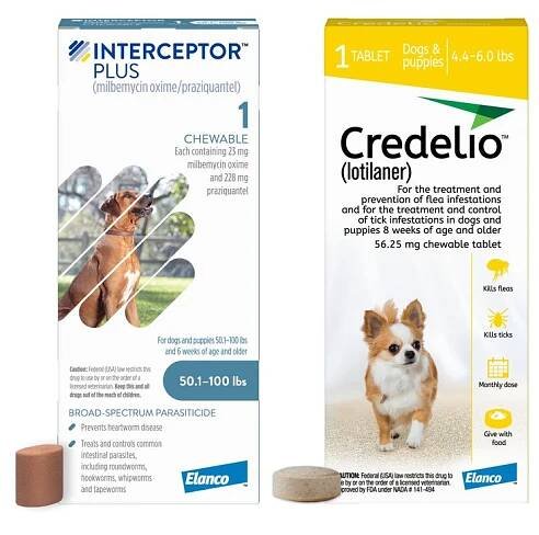 Interceptor Plus Chew, 50.1-100 lbs, (Blue Box), 1 Chew (1-mo. supply) + Credelio Chewable Tablet for Dogs, 4.4-6 lbs, (Yellow Box), 1 Chewable Tablet (1-mo. supply)