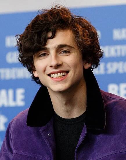 Soubor:Timothée Chalamet Call Me By Your Name Press Conference Berlinale 2017.jpg – Wikipedie