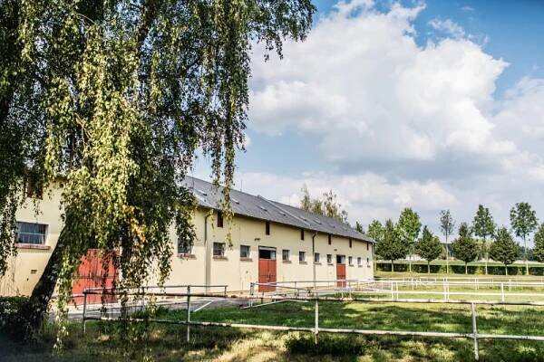 Ustájení koní - Albertovec