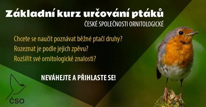 Nový kurz poznávání ptáků