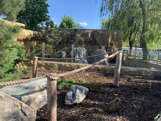 Tip na výlet: Eko Park Piešťany s deťmi (ZOO a ihrisko) - Emamamamu.sk