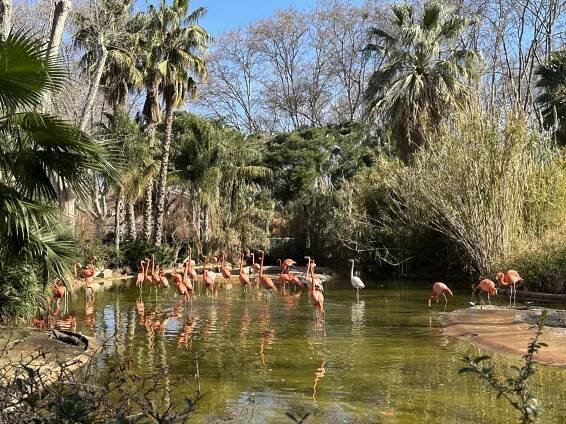 Barcelona Zoo