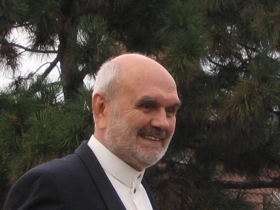 Josef Vejvoda - Wikipedia