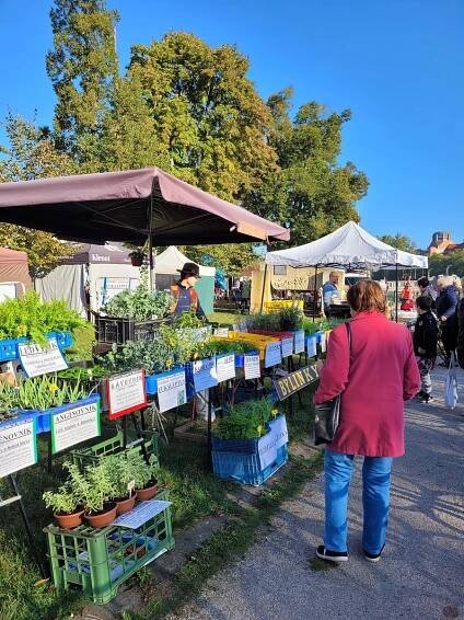 Prosincové farmářské trhy na Tylově nábřeží se ponesou v předvánočním duchu