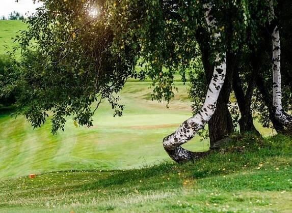 Golf Mladé Buky foto 3
