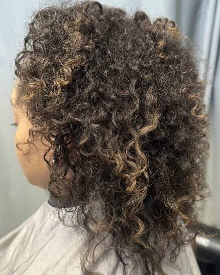 GinaCurl Certified Stylist Arizona  SC4