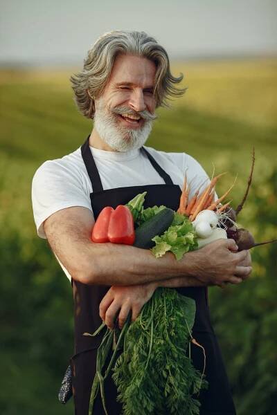 Mike's Garden Harvest - Organic Vegetable CSA Baskets Ottawa