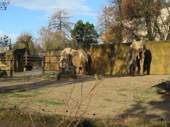 Výlet do ZOO | MŠ Police nad Metují