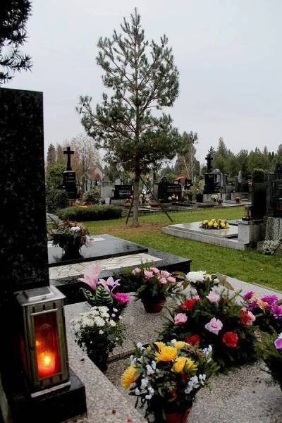 Ladislav Šnevajs nově povede olomoucké hřbitovy, skončil jako radní