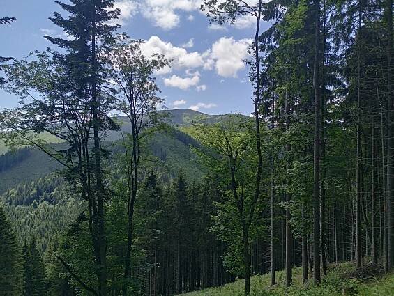 Bike & hike: Jánskou dolinou do Svidovského sedla a na Ohnište | HIKING.SK