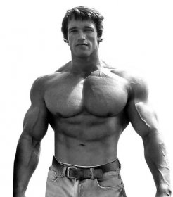 Arnold Schwarzenegger Diet and Workout Plan