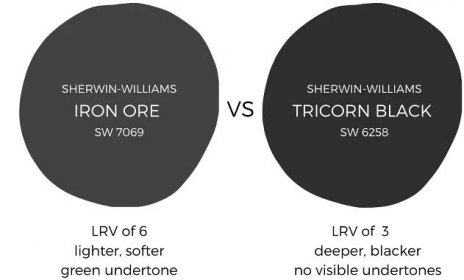 Sherwin Williams Tricorn Black vs Iron Ore