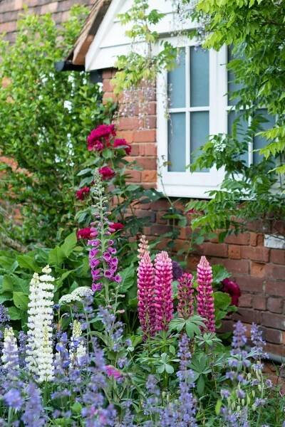What is cottage garden style? And how to achieve it...