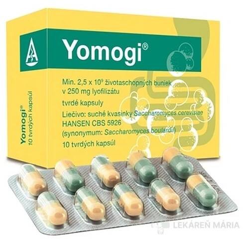 Yomogi