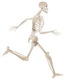 lidská kostra běží vpřed v plném pohybu - závodění na skeletonech stock ilustrace