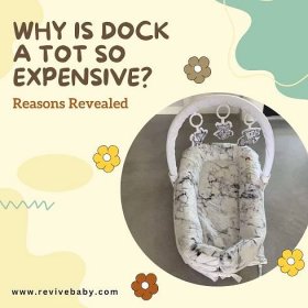Why Is Dock A Tot So Expensive? - Reasons Revealed