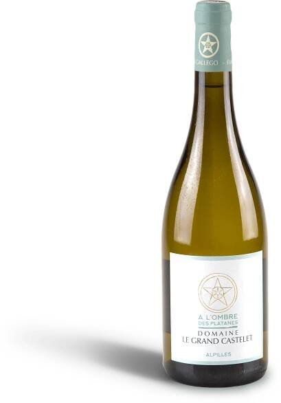 Bottle a l'ombre des platanes