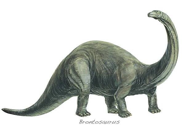 A 3D rendering of a brontosaurus. 
