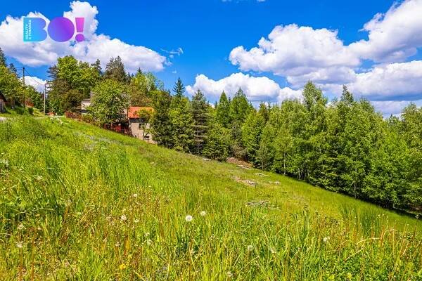 Prodej stavebního pozemku, 5690 m2, Mosty u Jablunkova | Reality.iDNES.cz 