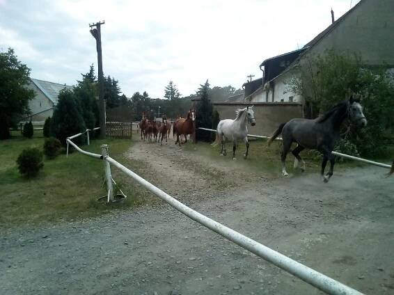 Turistický oddíl Devítka - 23.6.2018 - Z Malenovic na Štěrkáč
