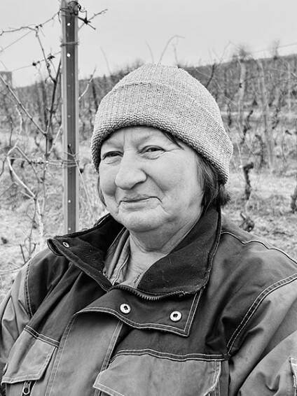 Tým vinařství :: Bettina Lobkowicz Vinařství