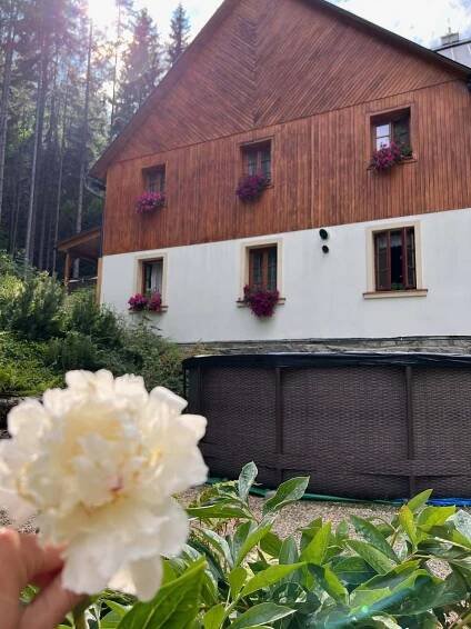 Hotýlek pod smrkem, Harrachov | Hotel.cz