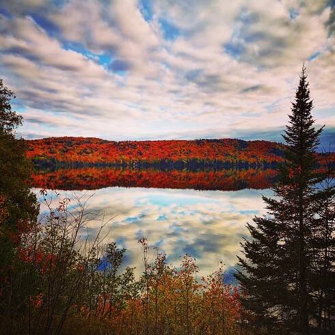 Fall Landscapes in Algonquin Park