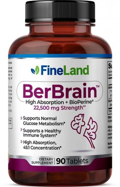BerBrain