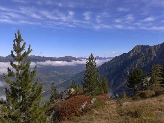 Ochsenkopf | 