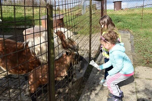 TIP NA VÝLET: Minizoo na Štěpánově je po dvou letech znovu v provozu