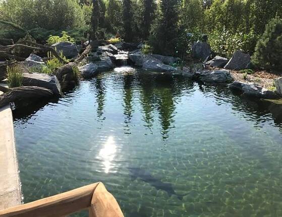 Okrasné jezírko s rybami ZOO Vyškov | Jezírka Banat