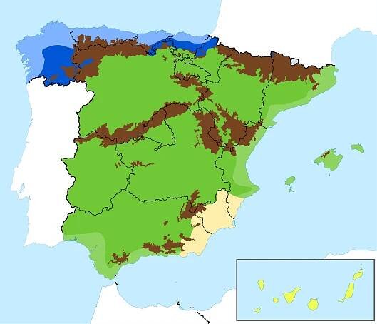 Wildlife of Spain - Wikipedia