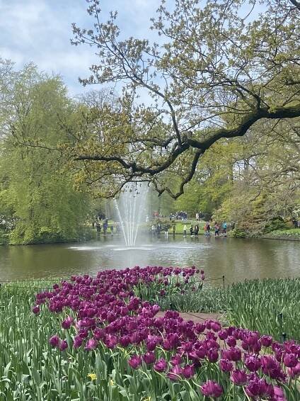 Keukenhof photos: park in bloom - Holland Explorer