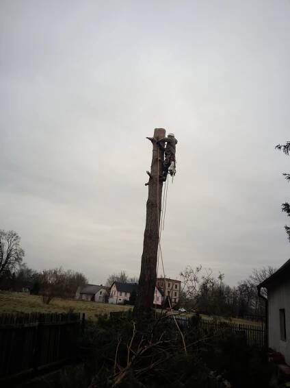 Rizikové kácení stromů a stromolezectví Choceň - Koruny Stromů