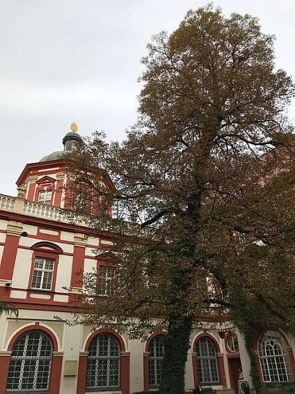 Zakład Narodowy im. Ossolińskich – Wikipedia, wolna encyklopedia