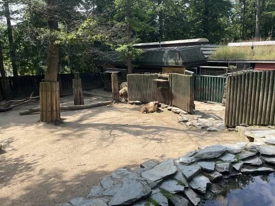 Zoologická a botanická zahrada Liberec | Slevomat.cz
