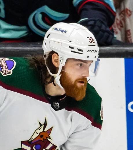 Liam O'Brien (ice hockey)
