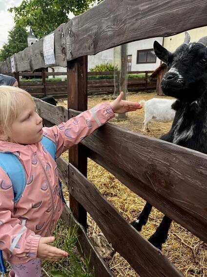 KOZLŮV STATEK PŘEDOTICE | MŠ Školní
