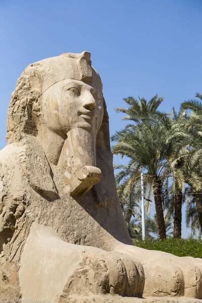 Travel Egypt: Cairo, Luxor & Aswan | This World Traveled