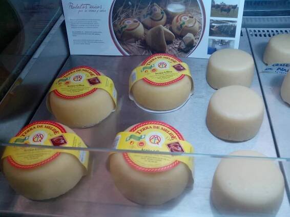 La frutería de Celia | ASETEM, Asociación Empresarios Terra de Melide