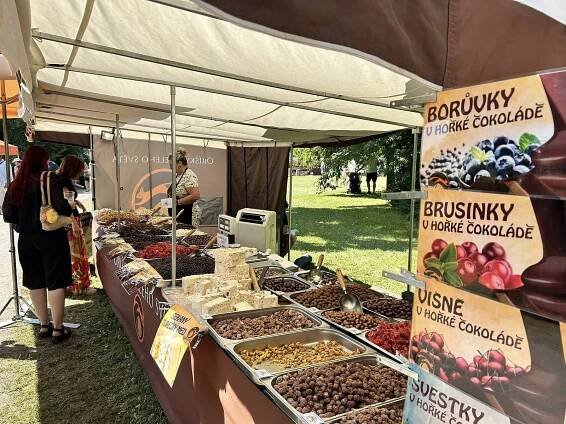 Borovany voněly po borůvkách. Omamné aroma přilákalo tisíce milovníků ovoce
