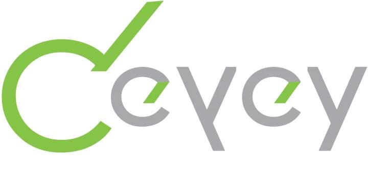 Web App Solutions / Developers