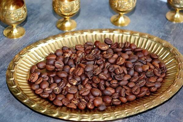 Kopi Luwak: Cibetková káva z Indonésie | Žijeme homemade