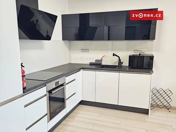 Pronájem bytu 2+kk, 48 m2, Brno, ulice Vídeňská, okres Brno-město