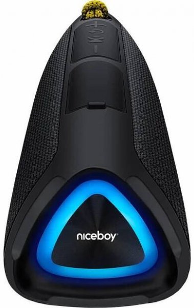 Přenosný reproduktor Niceboy RAZE Fusion černý