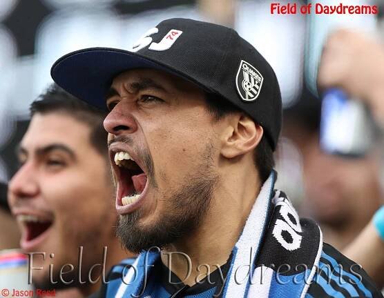 Field of Daydreams - Photo Galleries - S